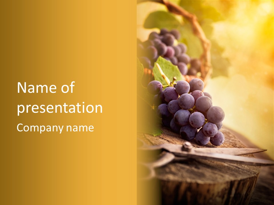 Organic Country Vineyard PowerPoint Template