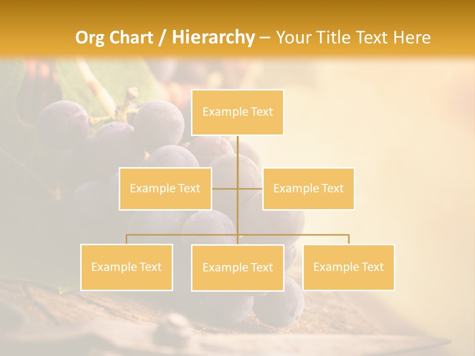 Organic Country Vineyard PowerPoint Template