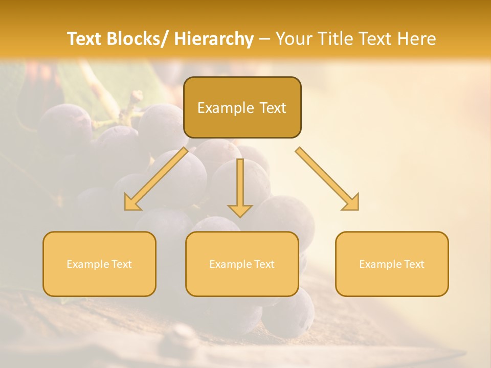 Organic Country Vineyard PowerPoint Template