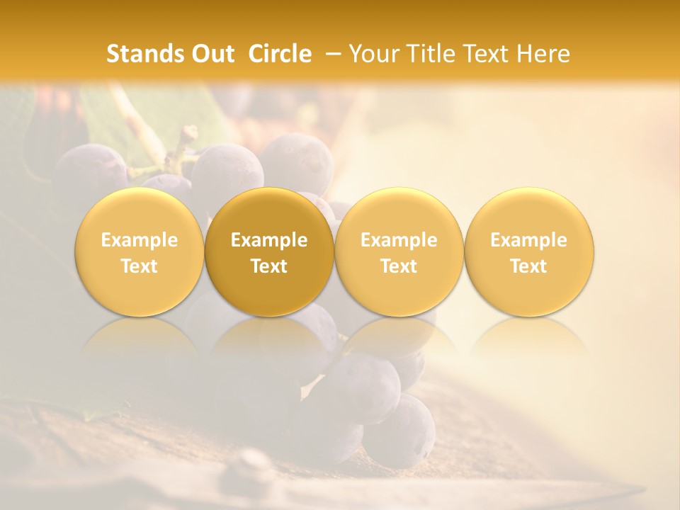 Organic Country Vineyard PowerPoint Template