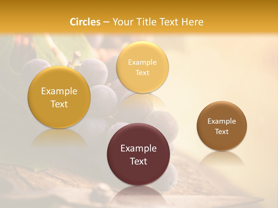 Organic Country Vineyard PowerPoint Template