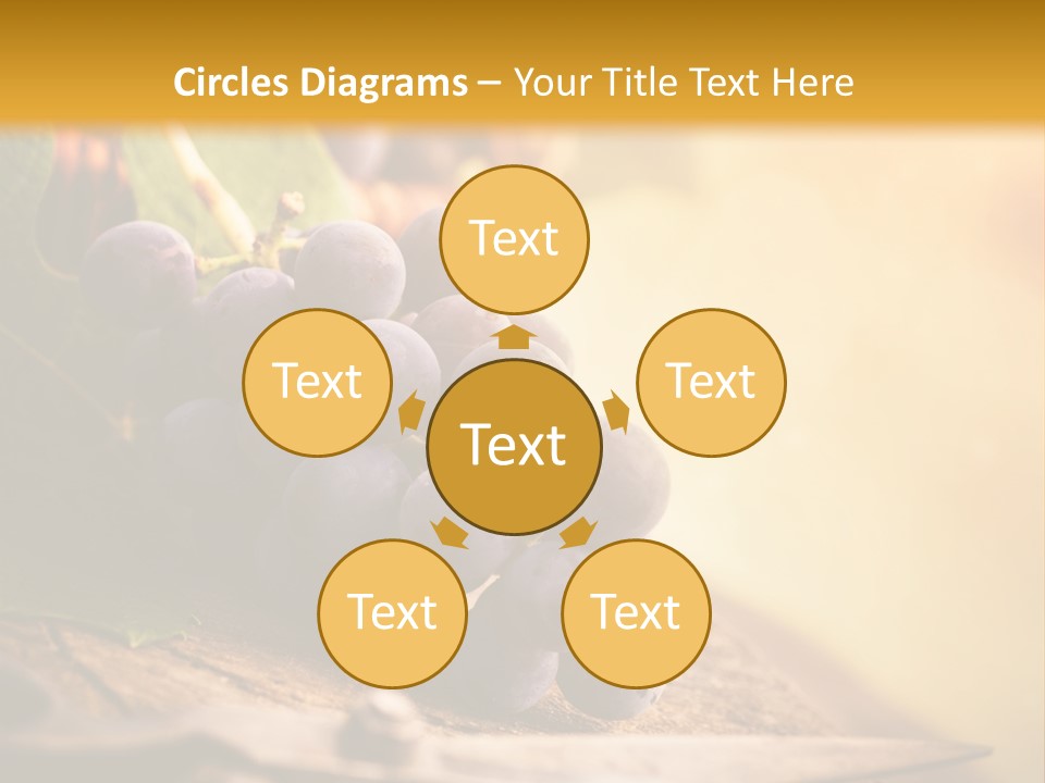 Organic Country Vineyard PowerPoint Template