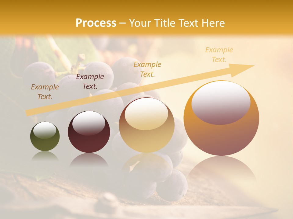 Organic Country Vineyard PowerPoint Template