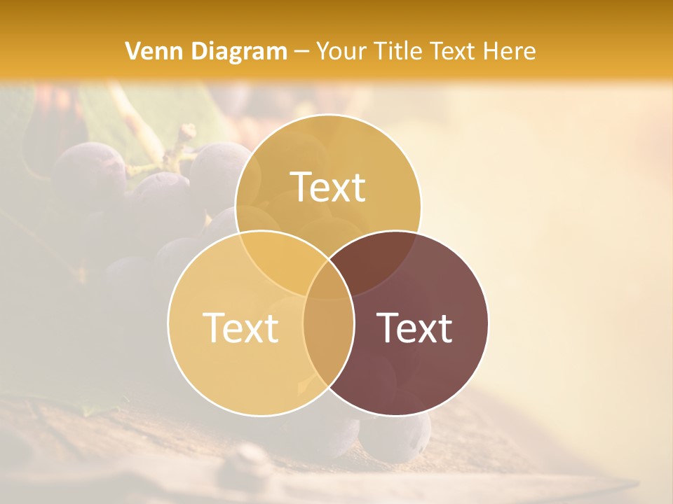 Organic Country Vineyard PowerPoint Template