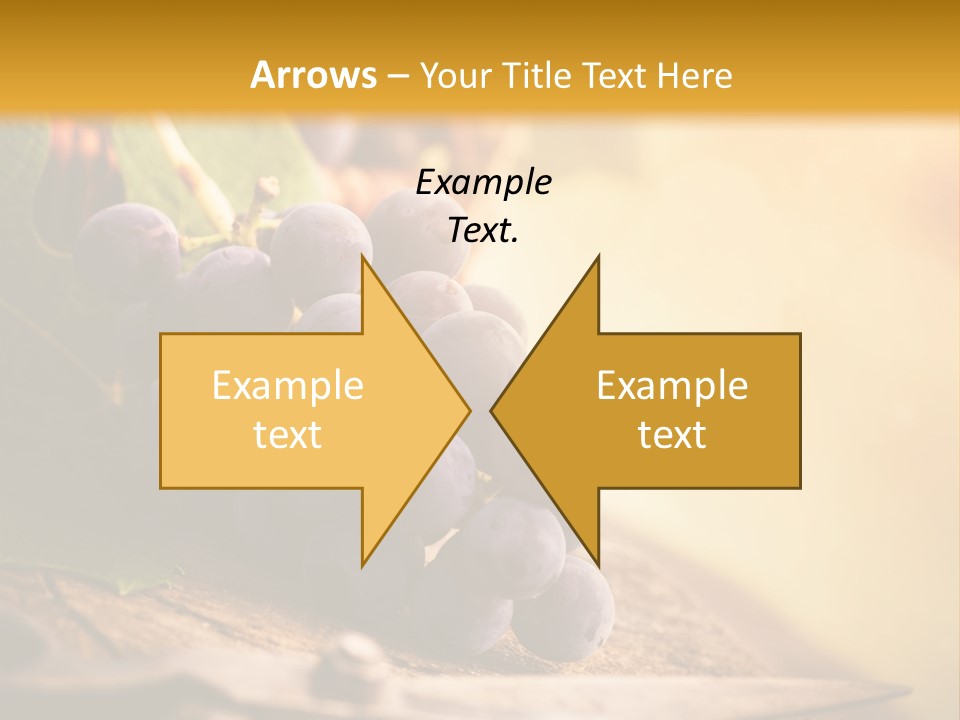 Organic Country Vineyard PowerPoint Template