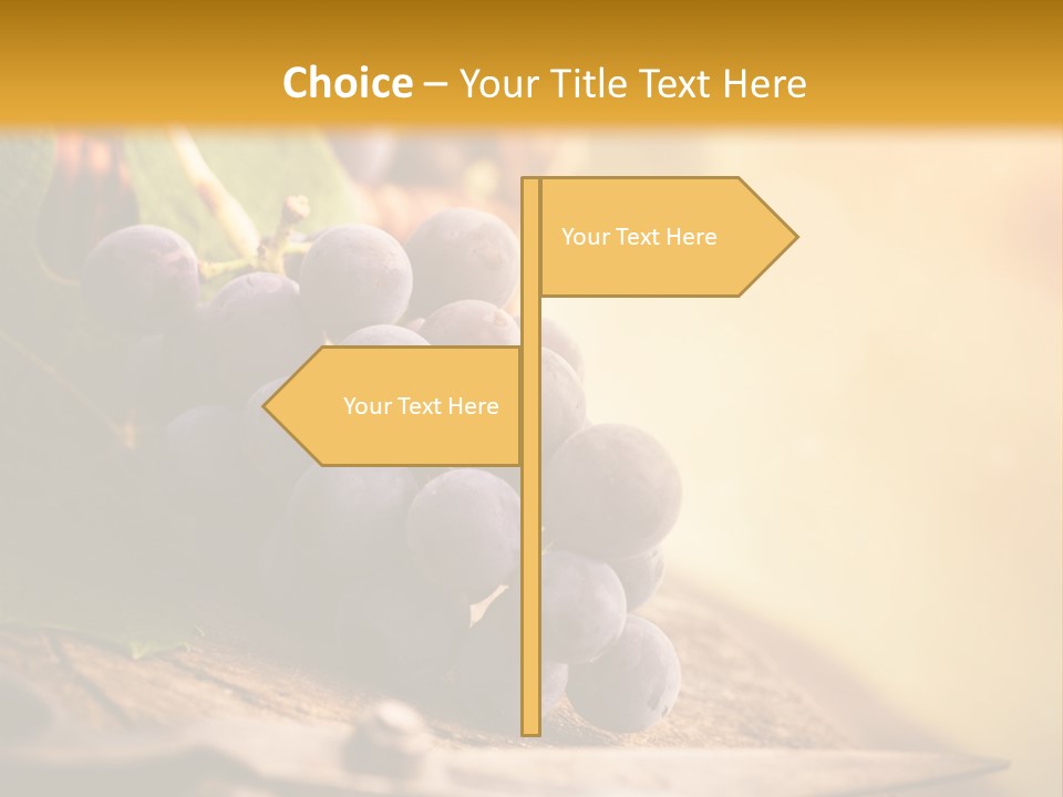 Organic Country Vineyard PowerPoint Template