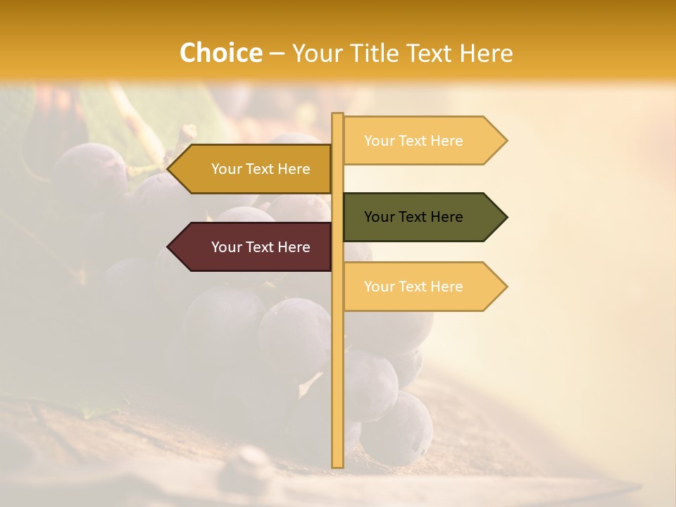 Organic Country Vineyard PowerPoint Template