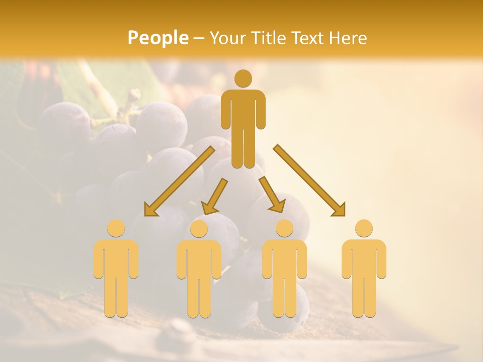 Organic Country Vineyard PowerPoint Template