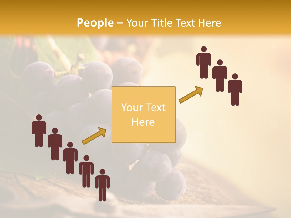 Organic Country Vineyard PowerPoint Template