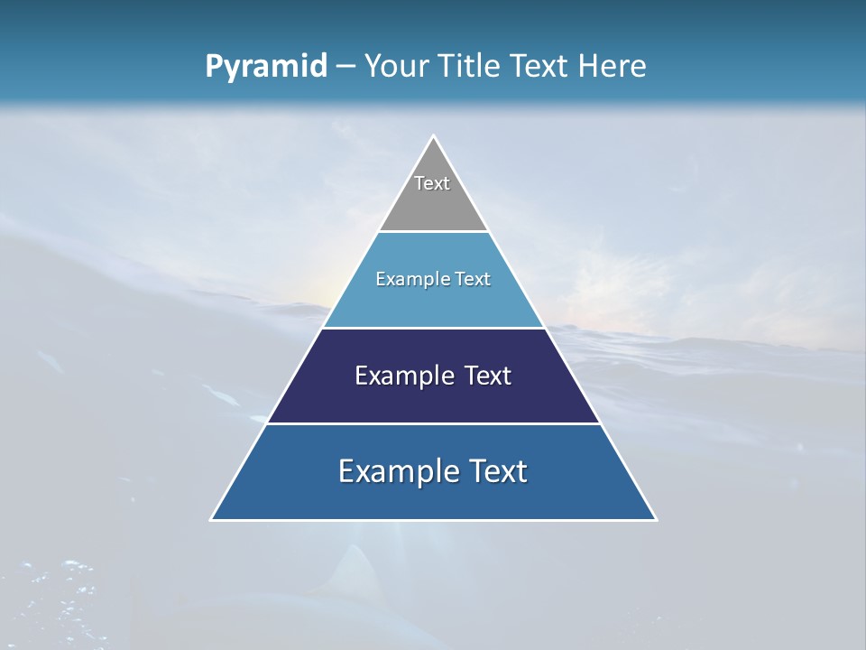 Brightly Bull Shark Air PowerPoint Template