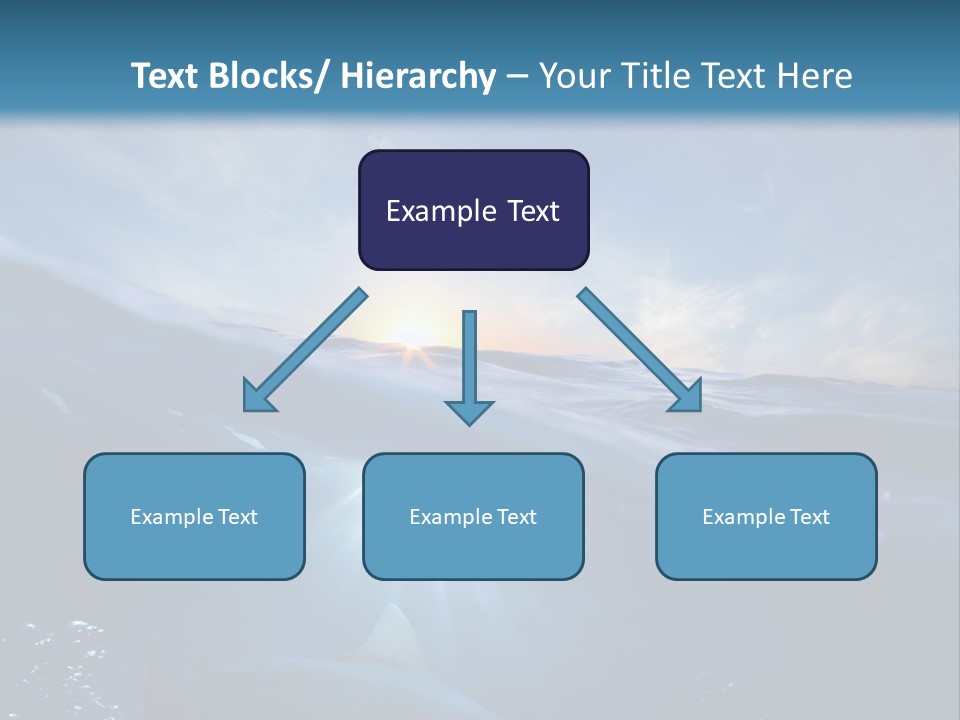 Brightly Bull Shark Air PowerPoint Template