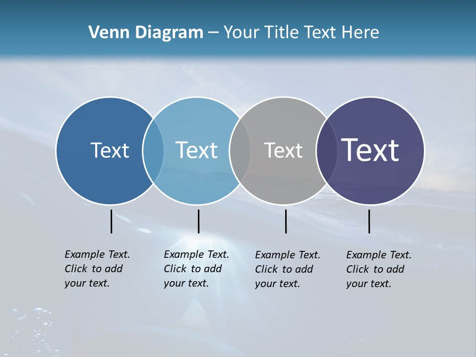 Brightly Bull Shark Air PowerPoint Template
