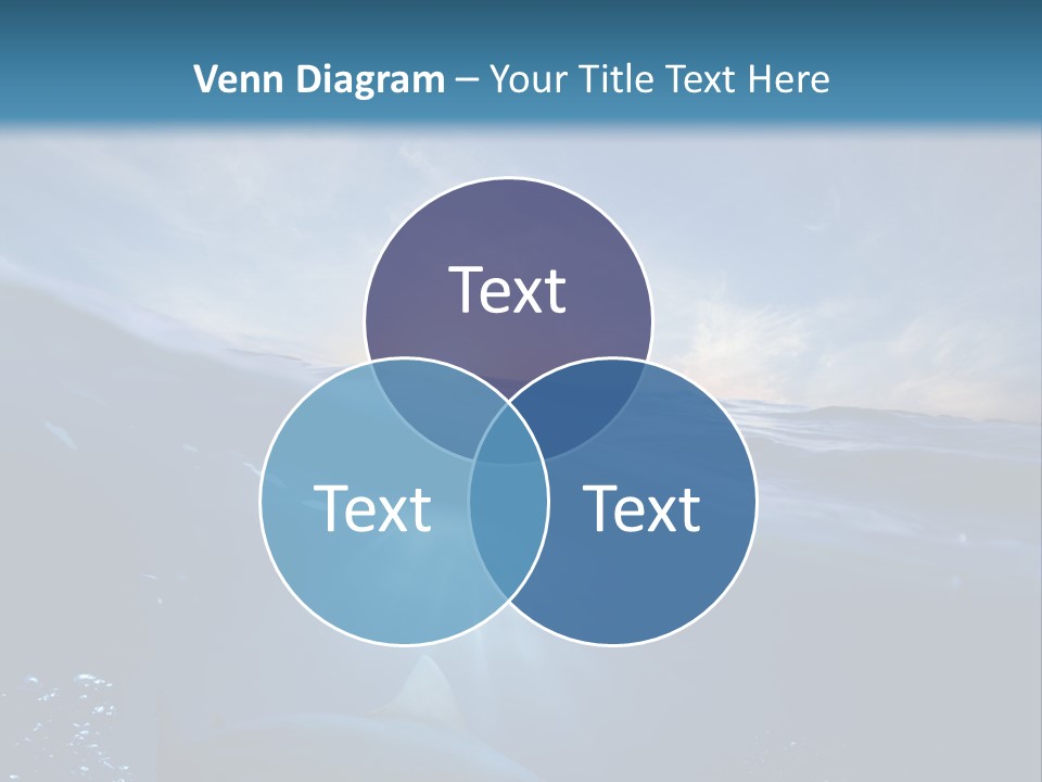 Brightly Bull Shark Air PowerPoint Template