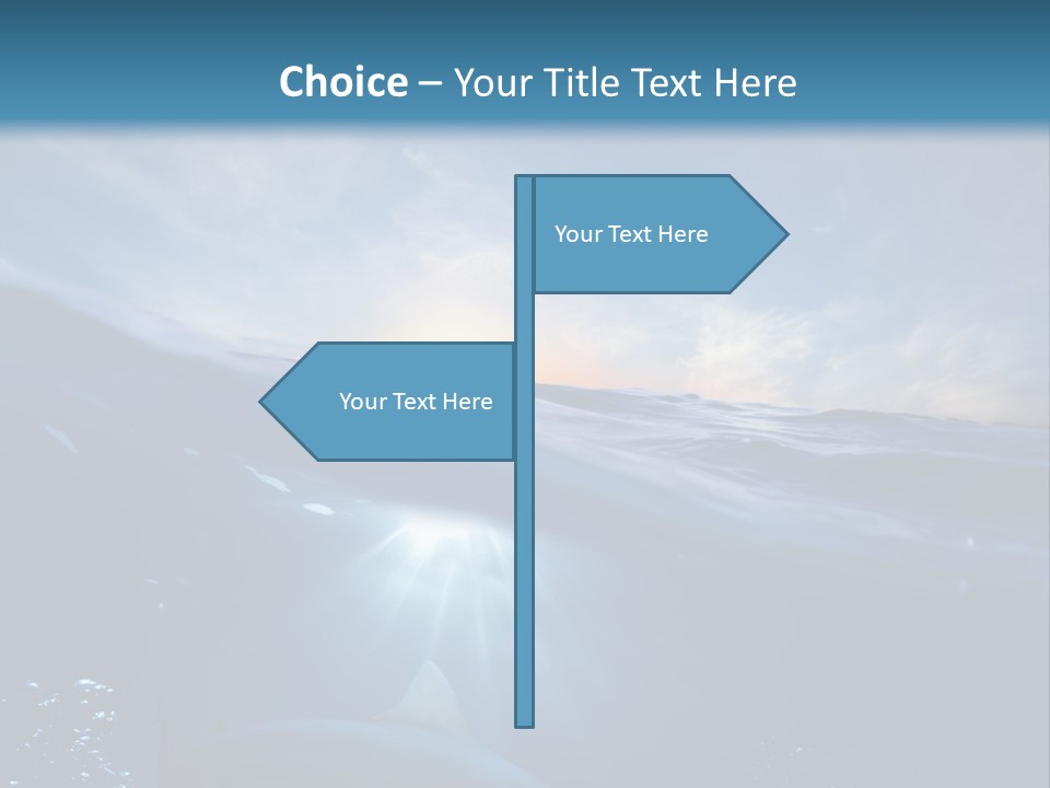 Brightly Bull Shark Air PowerPoint Template