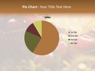 Agricultural Agriculture Organic PowerPoint Template
