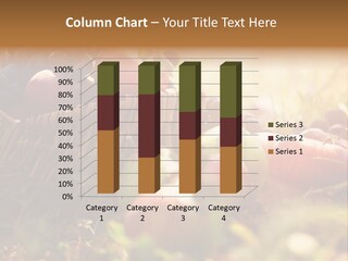 Agricultural Agriculture Organic PowerPoint Template