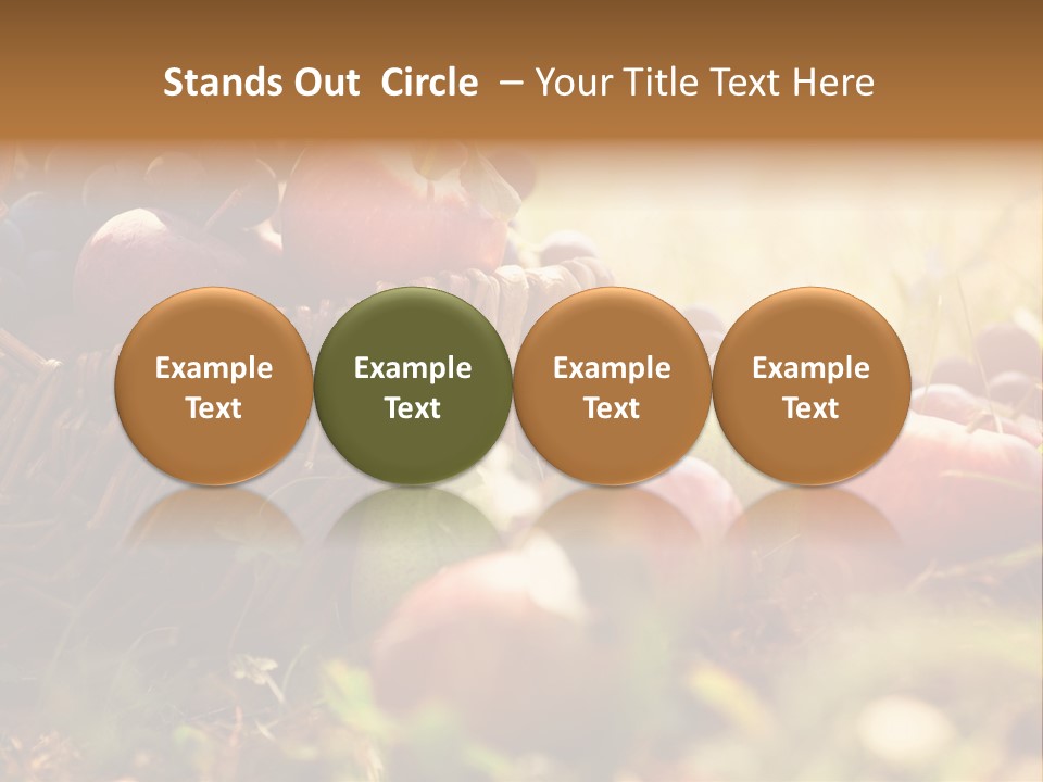 Agricultural Agriculture Organic PowerPoint Template