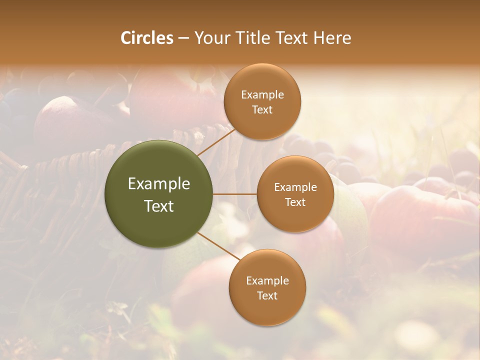 Agricultural Agriculture Organic PowerPoint Template