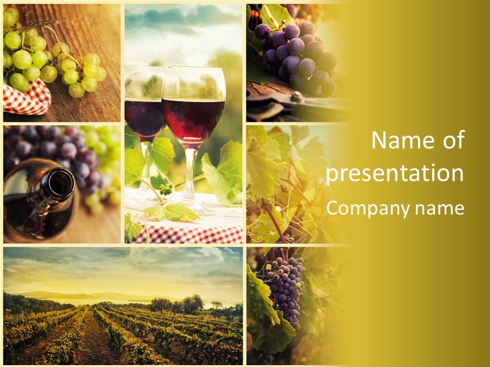 Sun Background Harvest PowerPoint Template