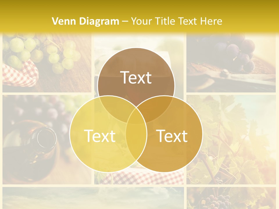 Sun Background Harvest PowerPoint Template