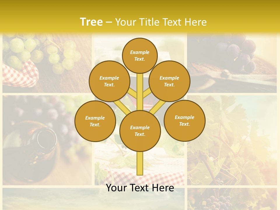 Sun Background Harvest PowerPoint Template