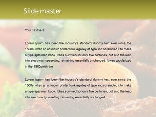 Fast Grilled Dish PowerPoint Template
