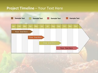 Fast Grilled Dish PowerPoint Template