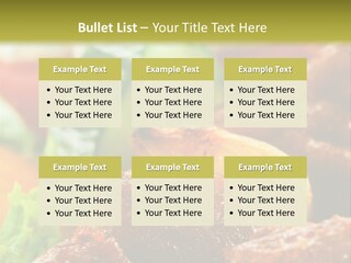 Fast Grilled Dish PowerPoint Template