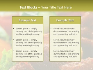 Fast Grilled Dish PowerPoint Template