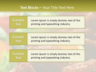 Fast Grilled Dish PowerPoint Template