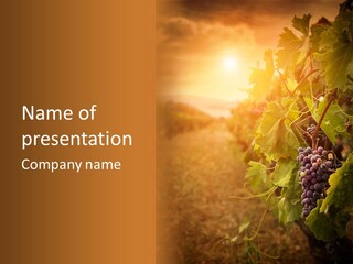 Outdoor Fall Rural PowerPoint Template