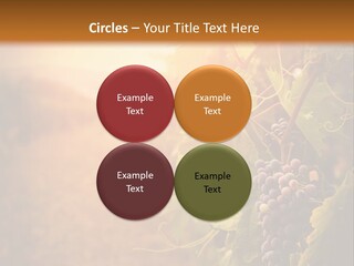 Outdoor Fall Rural PowerPoint Template
