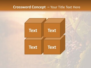 Outdoor Fall Rural PowerPoint Template