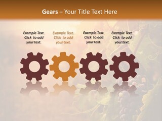Outdoor Fall Rural PowerPoint Template
