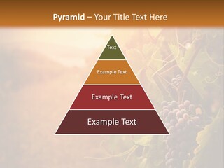 Outdoor Fall Rural PowerPoint Template