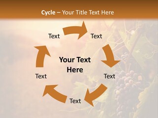 Outdoor Fall Rural PowerPoint Template