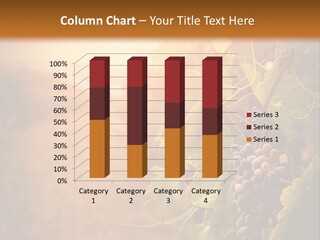 Outdoor Fall Rural PowerPoint Template