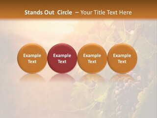 Outdoor Fall Rural PowerPoint Template