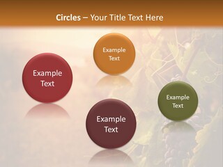 Outdoor Fall Rural PowerPoint Template