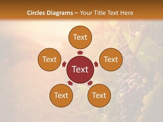Outdoor Fall Rural PowerPoint Template