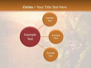 Outdoor Fall Rural PowerPoint Template