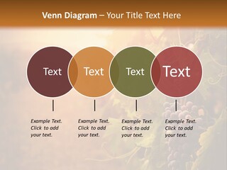 Outdoor Fall Rural PowerPoint Template