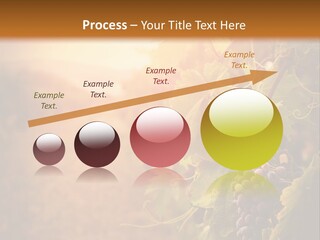 Outdoor Fall Rural PowerPoint Template