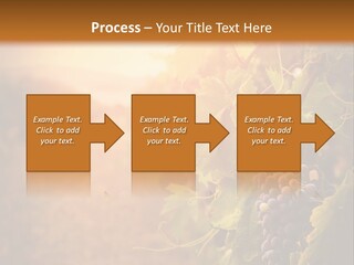 Outdoor Fall Rural PowerPoint Template