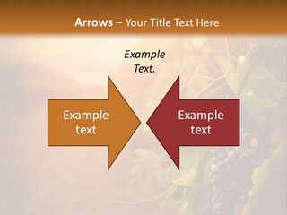 Outdoor Fall Rural PowerPoint Template