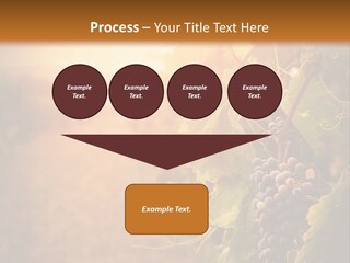 Outdoor Fall Rural PowerPoint Template