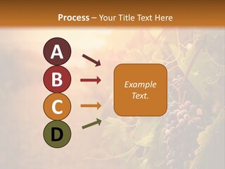 Outdoor Fall Rural PowerPoint Template