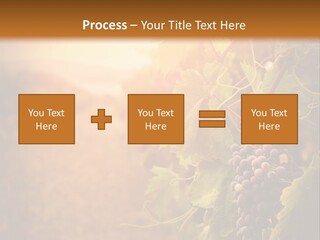 Outdoor Fall Rural PowerPoint Template