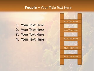Outdoor Fall Rural PowerPoint Template