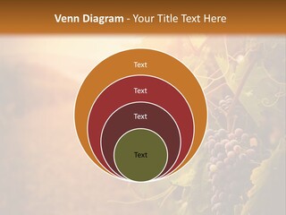 Outdoor Fall Rural PowerPoint Template
